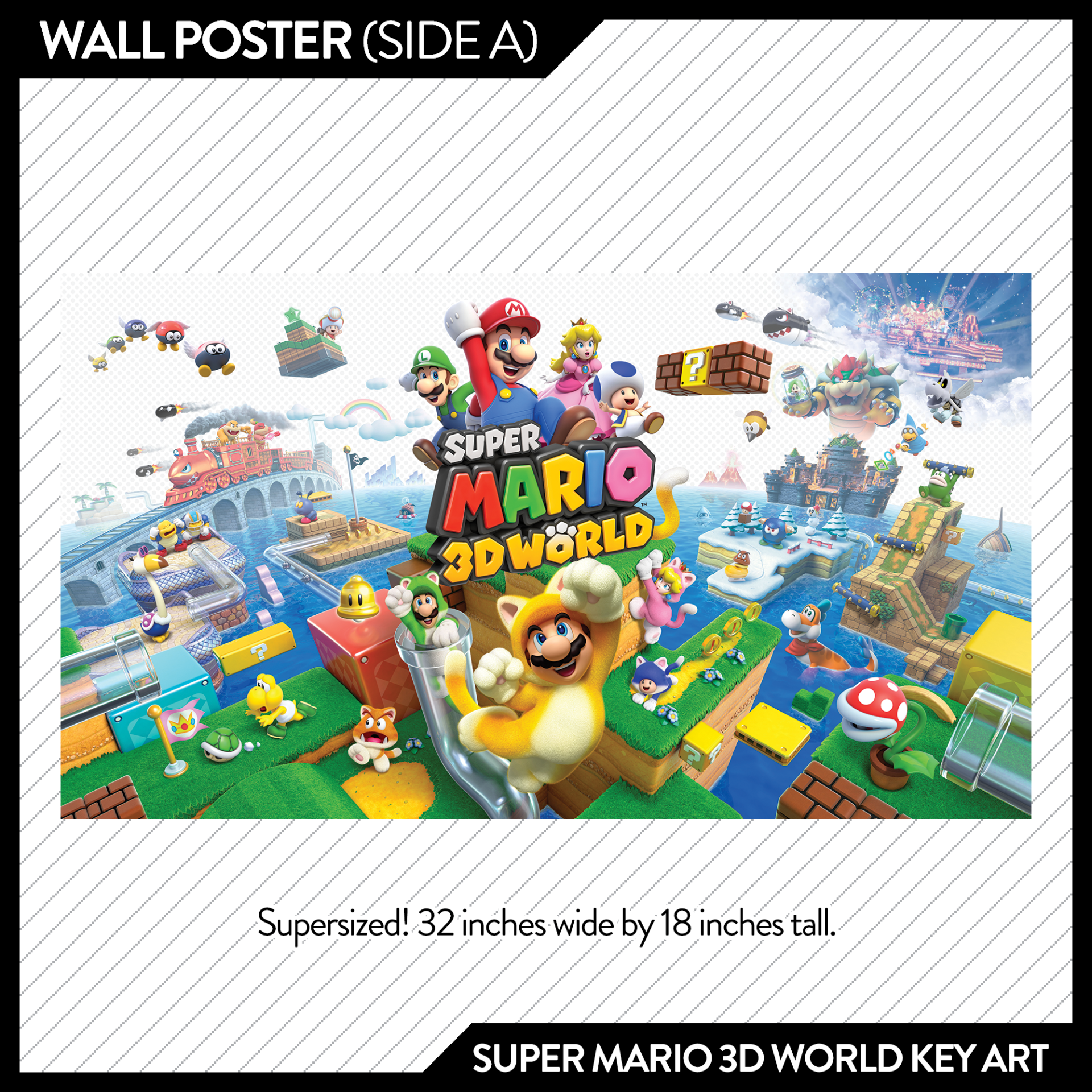 Issue #50: Long Live King Koopa + Addition Addiction - January/February 2021