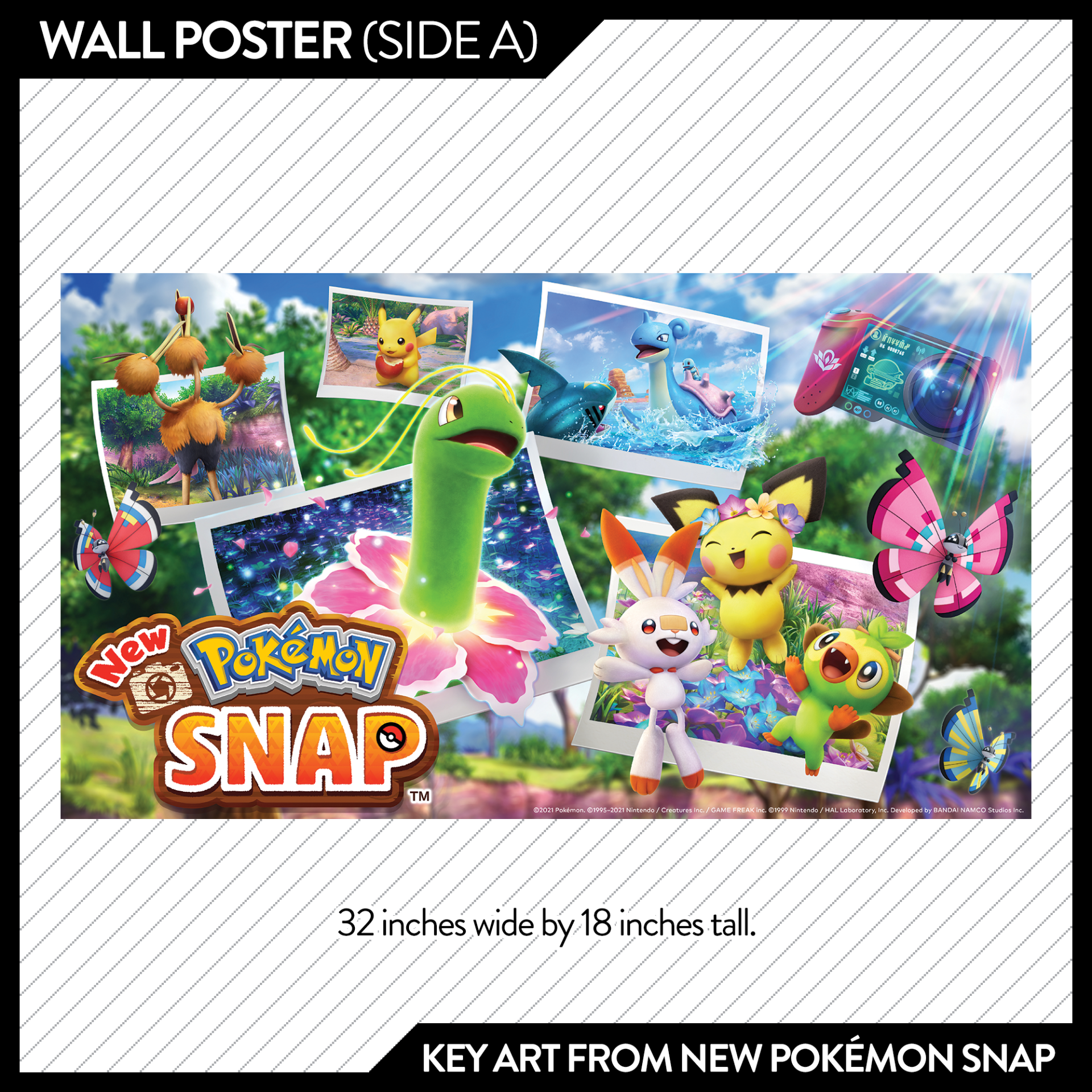 Issue #52: Photography in Focus - May/June 2021