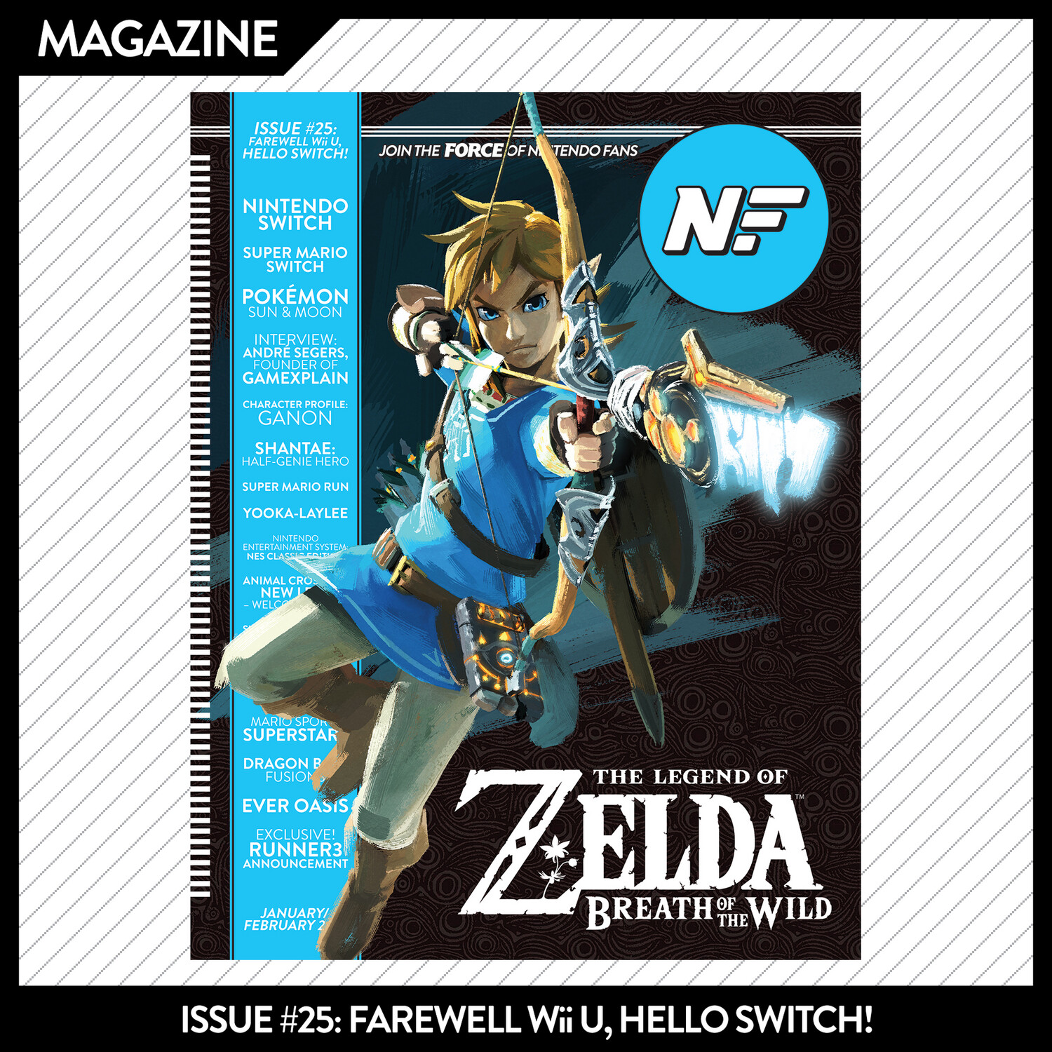 Issue #25: Farewell Wii U, Hello Switch! – January/February 2017