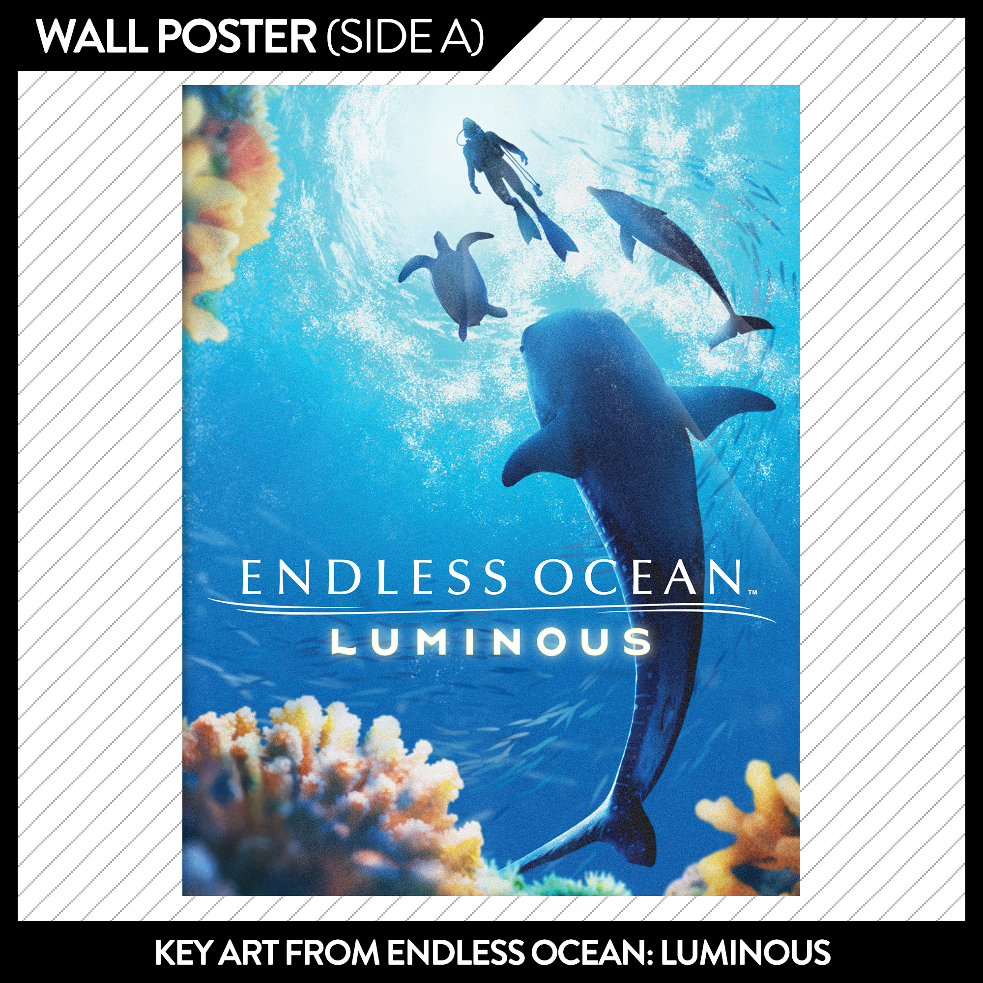 Issue #71: Just Add Water - May/June 2024