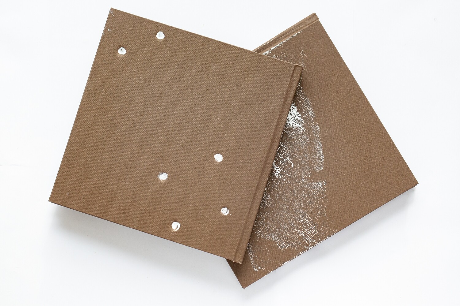 Contact Sport: photobook (Venus team discount)