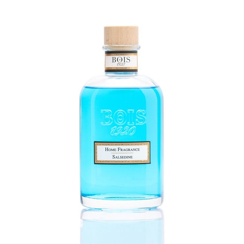 Bois 1920 • Salsedine • Profumatore per Ambiente • 250 ml