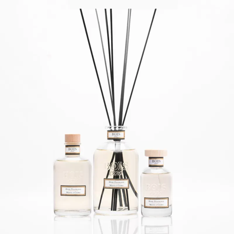 Bois 1920 • Menta e Cedro • Profumatore per Ambiente • 250 ml