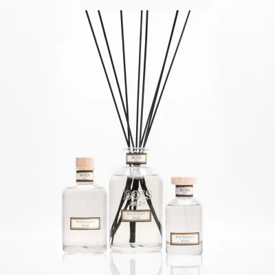 Bois 1920 • Ginger • Profumatore per Ambiente • 100 ml Spray