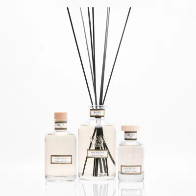 Bois 1920 • Menta e Cedro • Profumatore per Ambiente • 100 ml spray