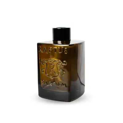 Raptus Domvs Diffusore per Ambienti Minerva 300 ml