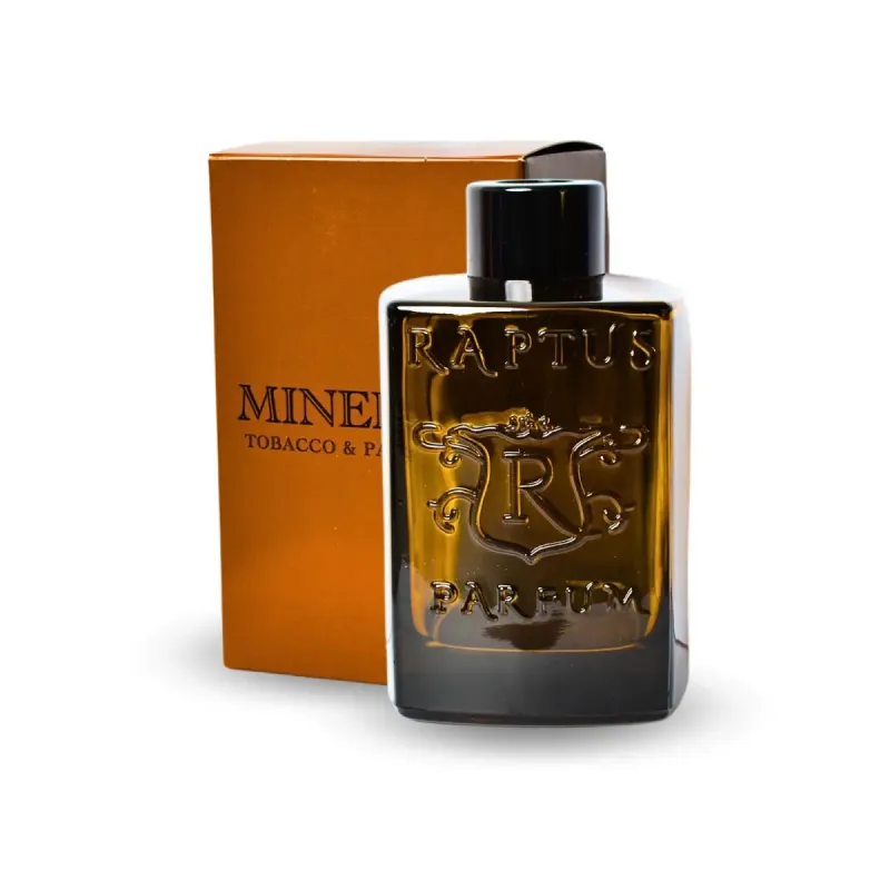 Raptus Domvs Diffusore per Ambienti Minerva 300 ml