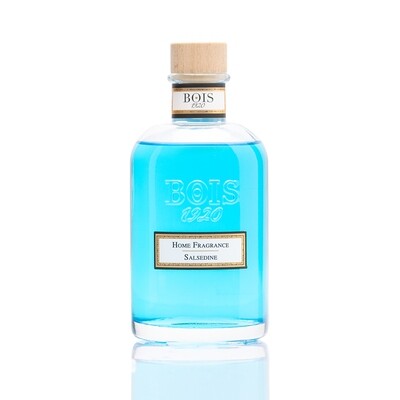 Bois 1920 • Salsedine • Profumatore per Ambiente • 250 ml