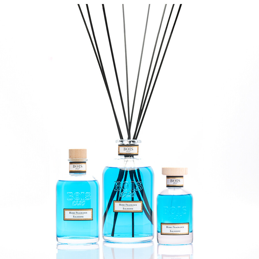 Bois 1920 • Salsedine • Profumatore per Ambiente • 100 ml Spray