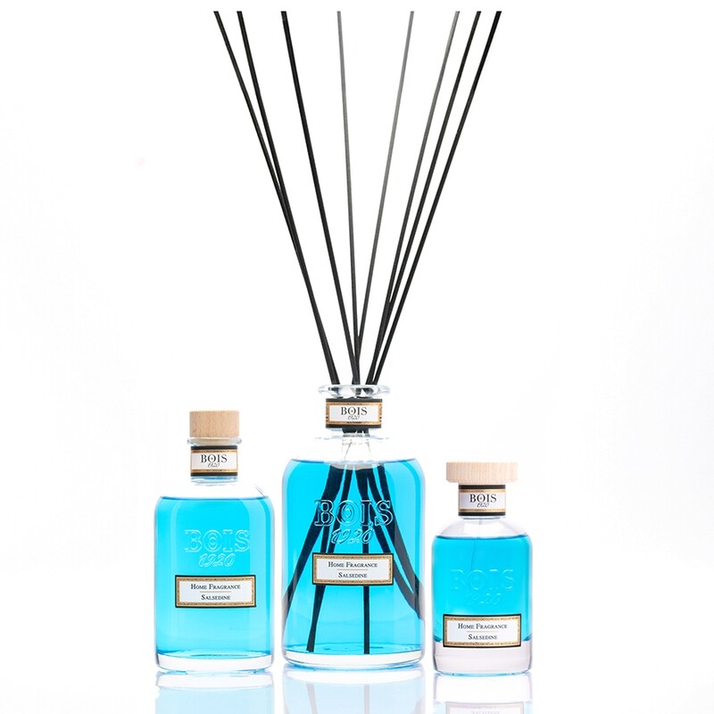 Bois 1920 • Salsedine • Profumatore per Ambiente • 500 ml