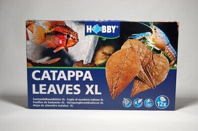 Hobby Catappa Leaves / Seemandelbaumblätter XL 12 Stück Hobby Catappa Leaves / Seemandelbaumblätter XL 12 Stück