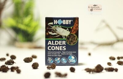 Hobby Alder Cones / Schwarzerlenzapfen Erlenzapfen für Aquarien 50 Stück Hobby Alder Cones / Schwarzerlenzapfen Erlenzapfen für Aquarien 50 Stück
