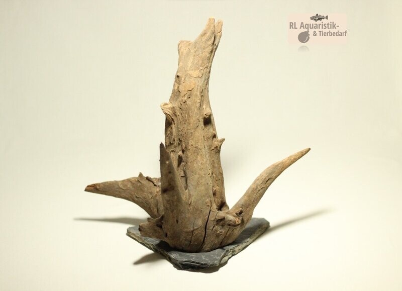 Sera Scaper Wood L 32 cm Aquascaping Wurzel auf Schieferplatte Sera Scaper Wood L 32 cm Aquascaping Wurzel auf Schieferplatte