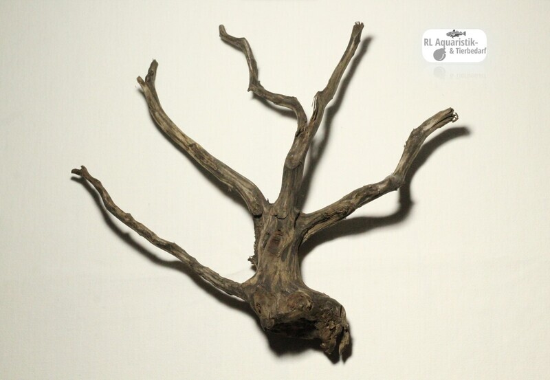 Sera Scaper Root XS Aquascaping Wurzel ca. 24 x 24 cm Sera Scaper Root XS Aquascaping Wurzel ca. 24 x 24 cm