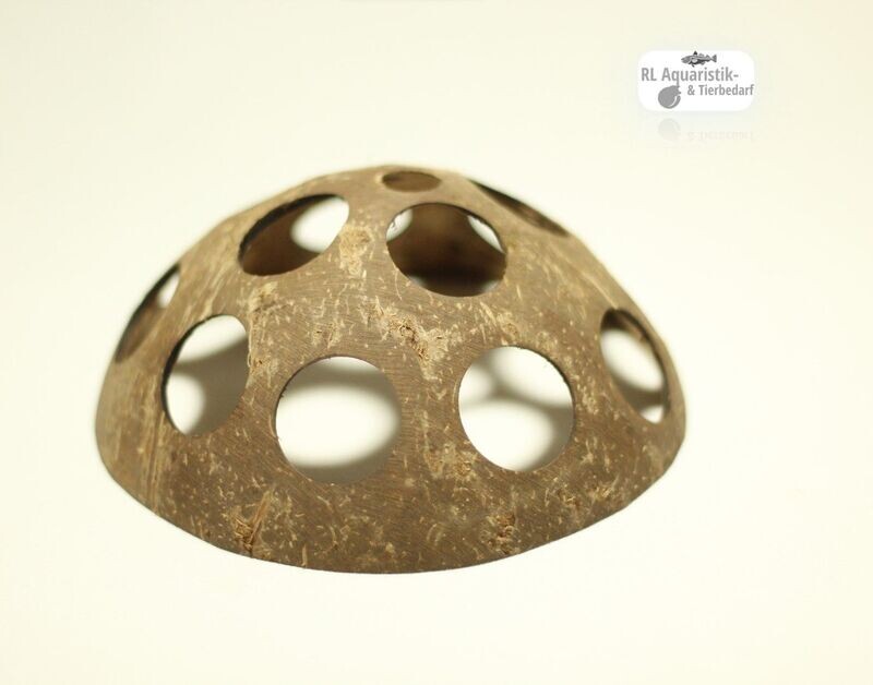 Natürliche Deko für Aquarium / Terrarium - Kokosnuss Hälfte ca. 10 - 13 cm Natürliche Deko für Aquarium / Terrarium - Kokosnuss Hälfte ca. 10 - 13 cm