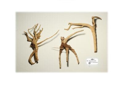 3 x Moorkienwurzel Größe S (Moorholz) für Aquarien / Terrarien 3 x Moorkienwurzel Größe S (Moorholz) für Aquarien / Terrarien