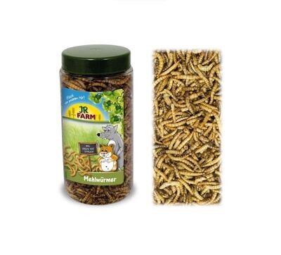 JR FARM Mehlwürmer für Nager und andere Haus- & Wildtiere 70g JR FARM Mehlwürmer für Nager und andere Haus- & Wildtiere 70g