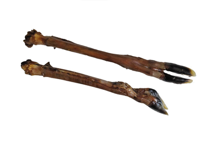 Hundekausnack Hirschunterbein getrocknet mit Schale ca. 35-50 cm 1 Stück Hundekausnack Hirschunterbein getrocknet mit Schale ca. 35-50 cm 1 Stück