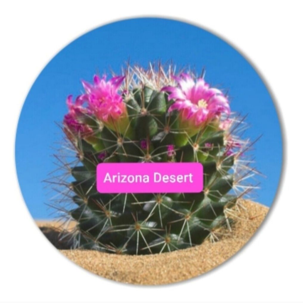 ARIZONA DESERT SUGAR SCRUB