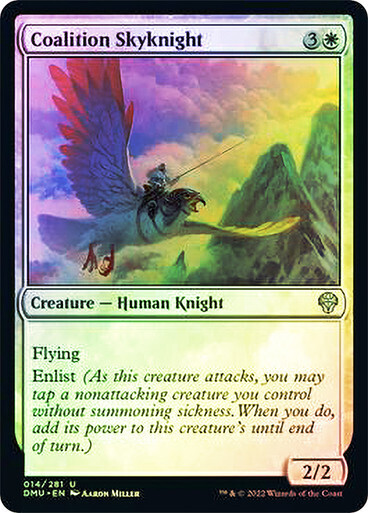 Coalition Skyknight