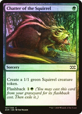 Chatter of the Squirrel