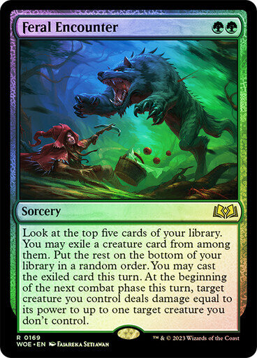 Feral Encounter