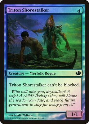 Triton Shorestalker