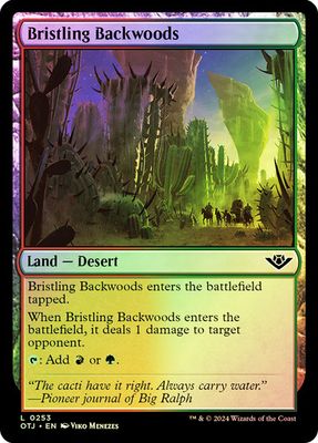 Bristling Backwoods