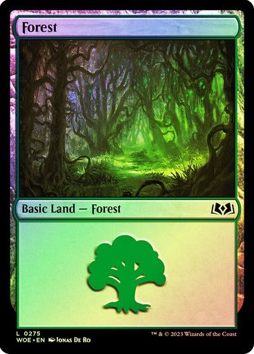 Forest