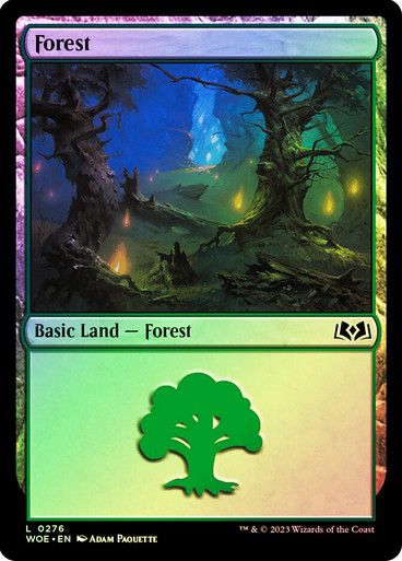Forest