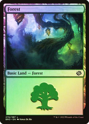 Forest