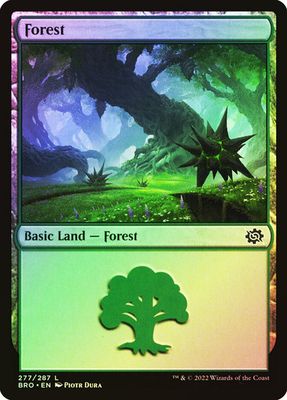 Forest
