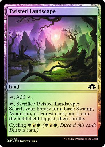 Twisted Landscape