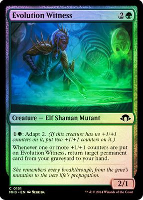 Evolution Witness