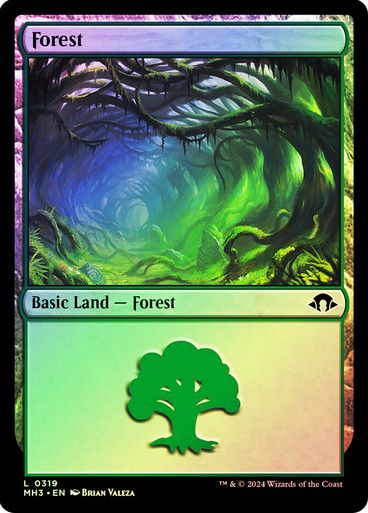 Forest