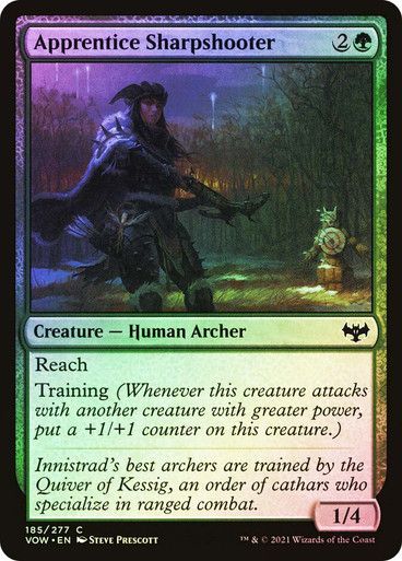 Apprentice Sharpshooter