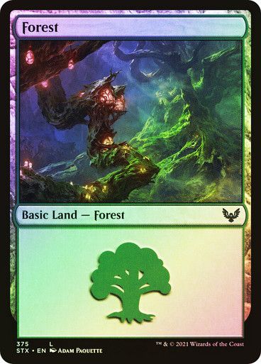 Forest