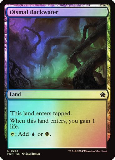 Dismal Backwater