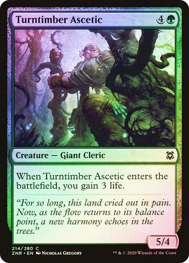 Turntimber Ascetic