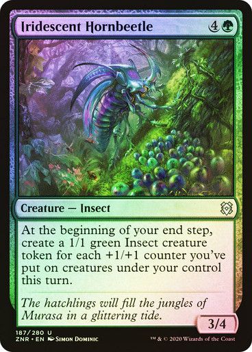 Iridescent Hornbeetle