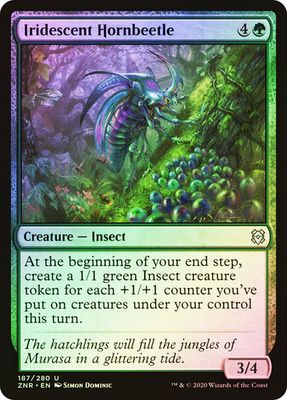 Iridescent Hornbeetle