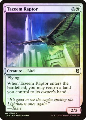 Tazeem Raptor