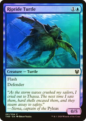 Riptide Turtle