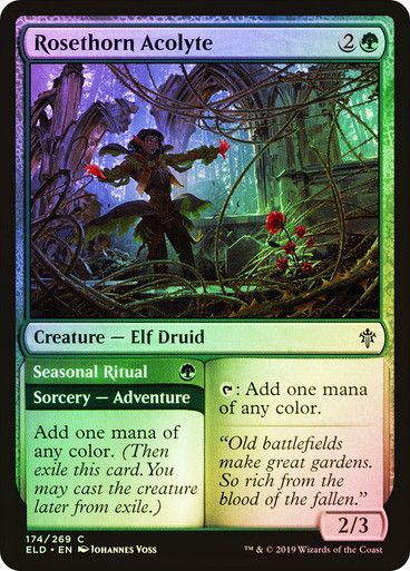 Rosethorn Acolyte // Seasonal Ritual
