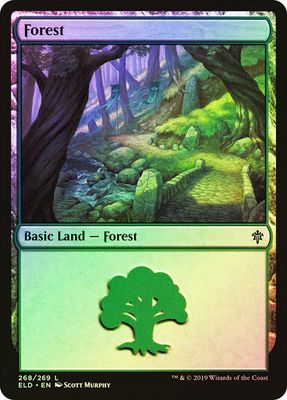 Forest