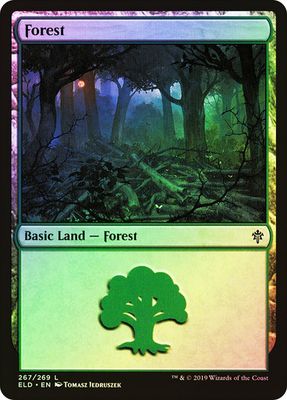 Forest