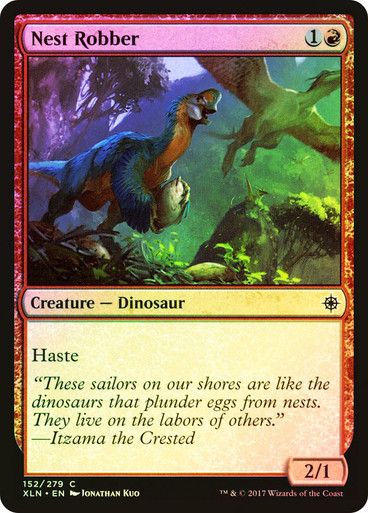 Nest Robber