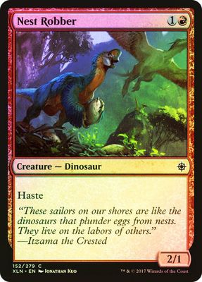 Nest Robber