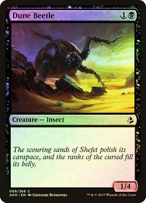 Dune Beetle