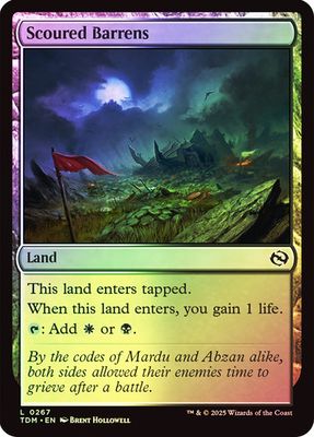 Scoured Barrens